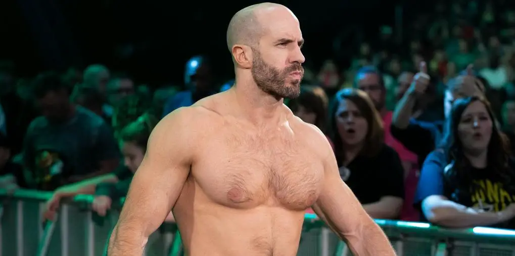 The 15 Best Bald Wrestlers Of All Time 