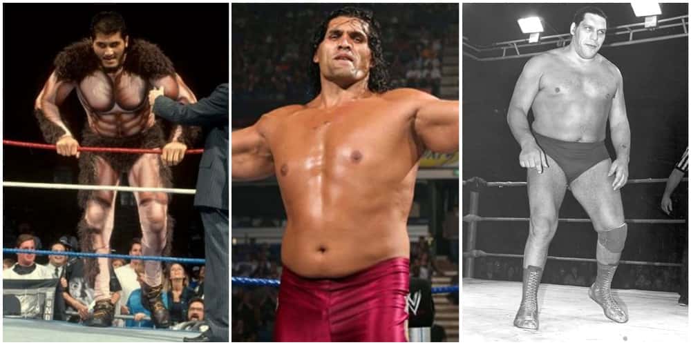 The 15 Biggest Wrestlers Of All Time